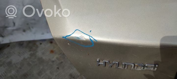 Hyundai Elantra Tylna klapa bagażnika 692002D590