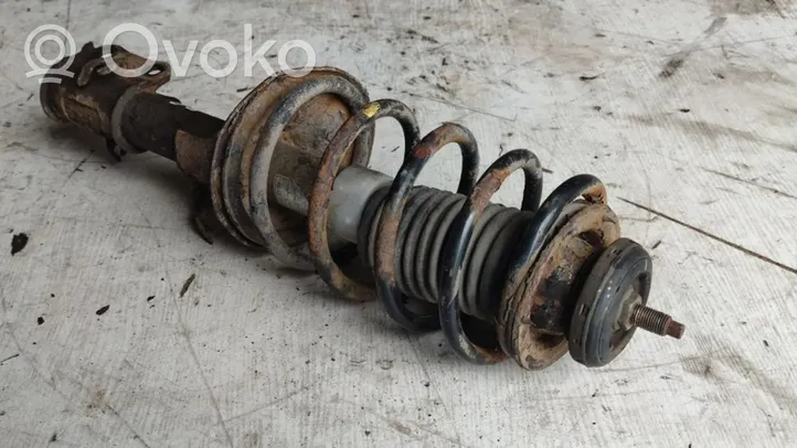 Daewoo Kalos Front shock absorber with coil spring 96586888