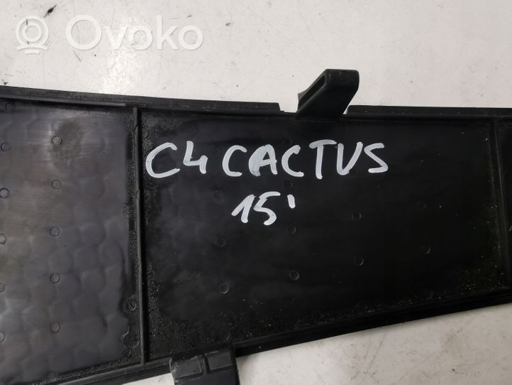 Citroen C4 Cactus Valytuvų apdaila (-os) 