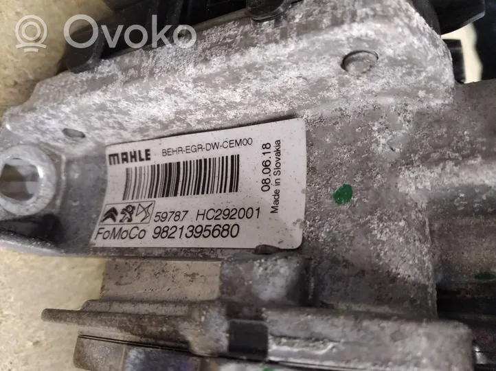 Ford Mondeo MK V Chłodnica spalin EGR 9821395680