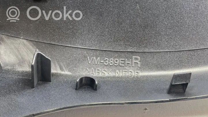 Volkswagen PASSAT B7 Veidrodėlio plastikinė apdaila VM389EHR