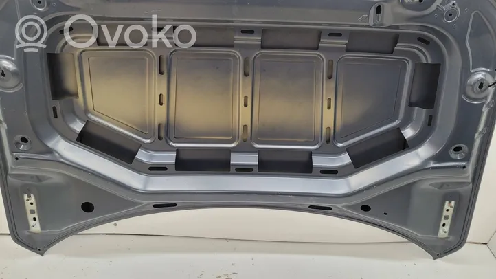 Volkswagen T-Roc Pokrywa przednia / Maska silnika 