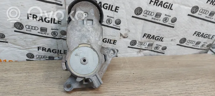 Citroen C2 Tendicinghia generatore/alternatore Tf049