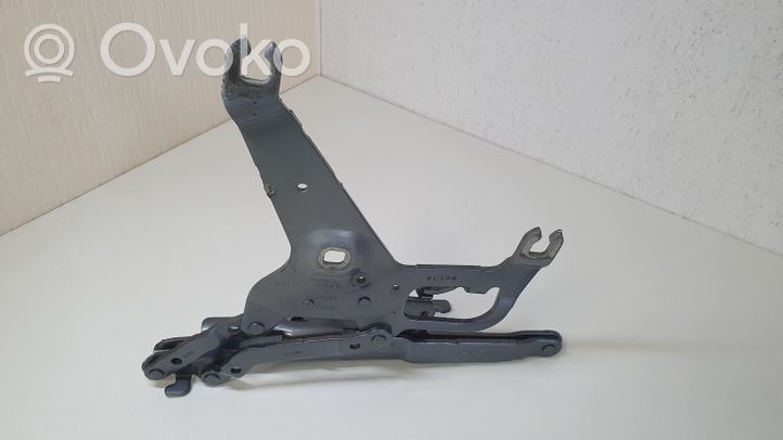 BMW X5 F15 Cerniere del vano motore/cofano 7294529