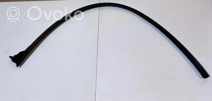 Volkswagen Golf VII Front door rubber seal 5G4837652