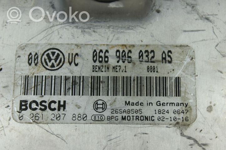 Volkswagen PASSAT B5.5 Variklio valdymo blokas 066906032AS