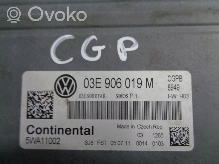 Volkswagen Polo V 6R Centralina/modulo del motore 03E906019M