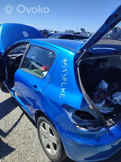 Peugeot 307 Kit airbag avec panneau Sinref
