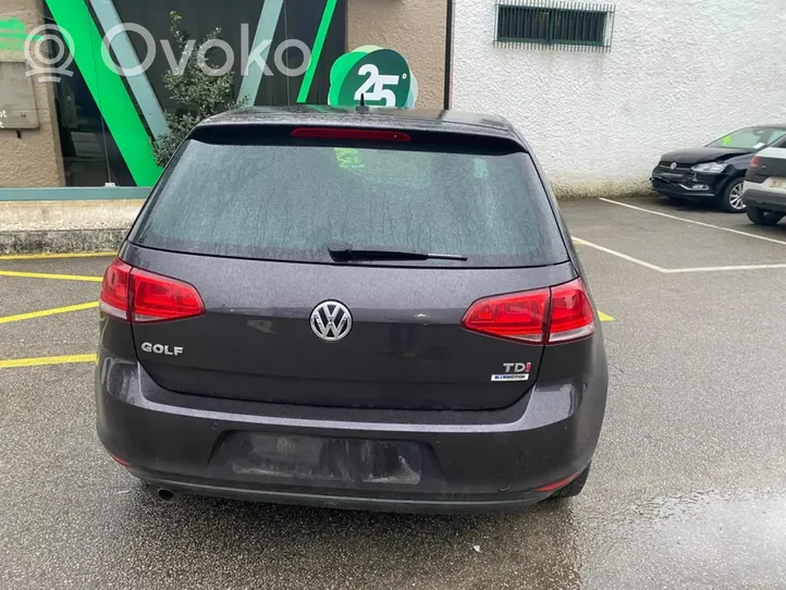 Volkswagen Golf VII Verstärkung Stoßstange Stoßfänger hinten 