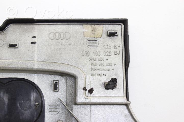 Audi A6 S6 C6 4F Variklio dangtis (apdaila) 059103925BH