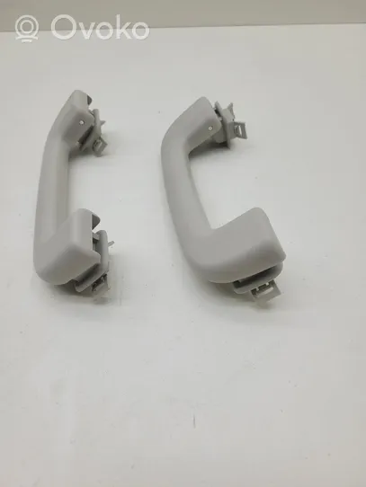 Jaguar XE Un set di maniglie per il soffitto FK7231406