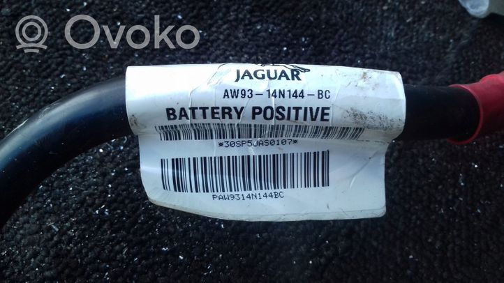 Jaguar XJ X351 Plus / Klema / Przewód akumulatora AW9314N144BC