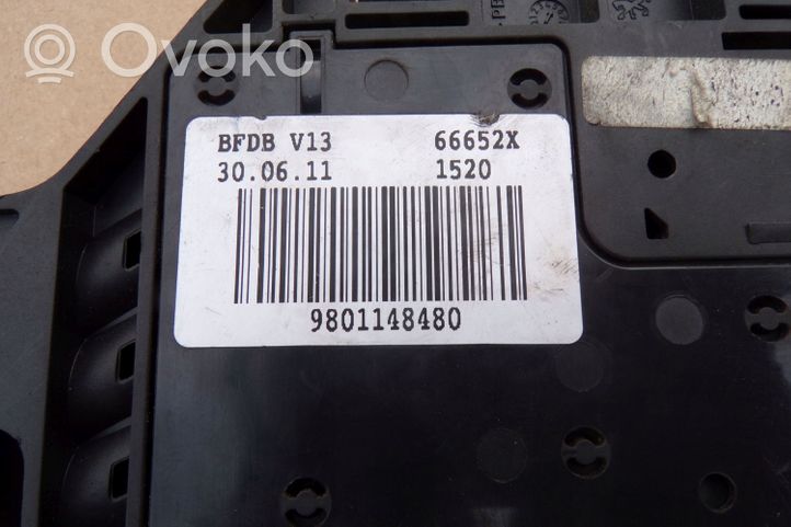 Citroen DS3 Plus / Klema / Przewód akumulatora 9801148480