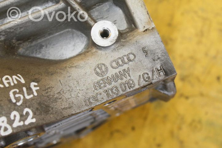 Skoda Octavia Mk2 (1Z) Blok silnika 