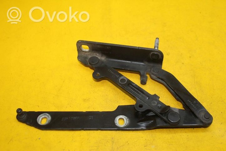 Land Rover Range Rover Sport L320 Set di cerniere portiera anteriore ROVER