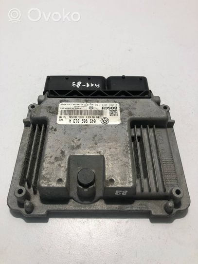 Skoda Praktik (5J8) Calculateur moteur ECU 045906013A