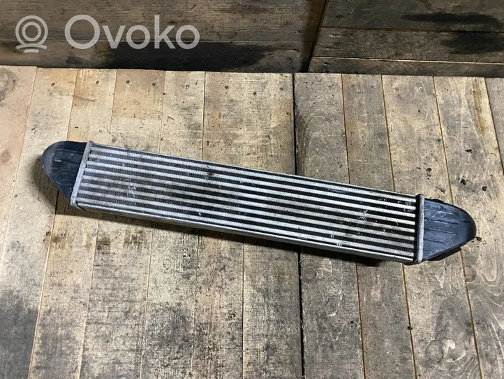 Mercedes-Benz E W211 Chłodnica powietrza doładowującego / Intercooler 2002199