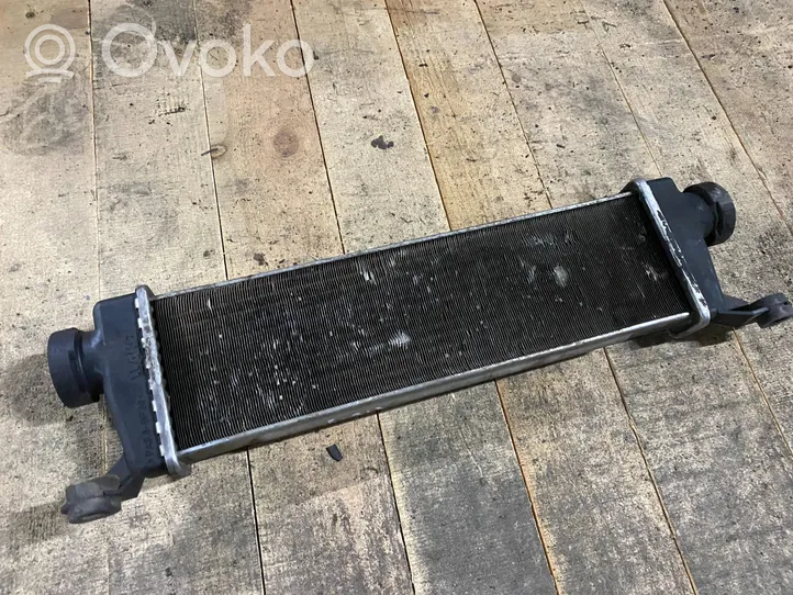 Mercedes-Benz A W169 Chłodnica powietrza doładowującego / Intercooler a1685000000