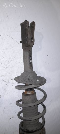 Toyota Yaris Verso Front shock absorber with coil spring 