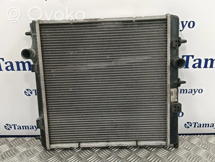 Citroen DS3 Coolant radiator 871060300