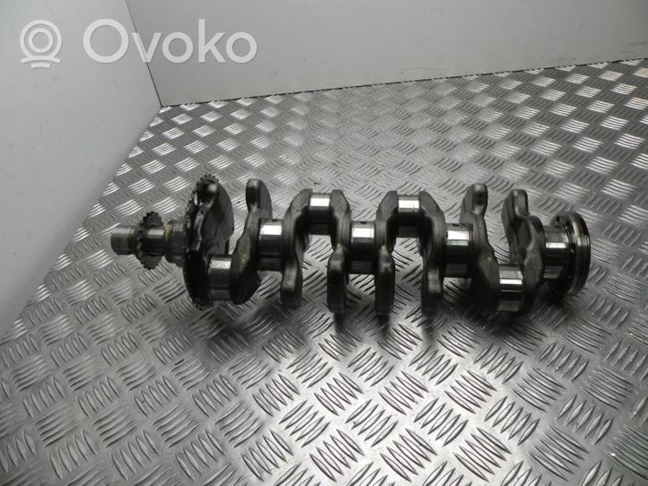 Toyota RAV 4 (XA40) Albero motore 134010R011