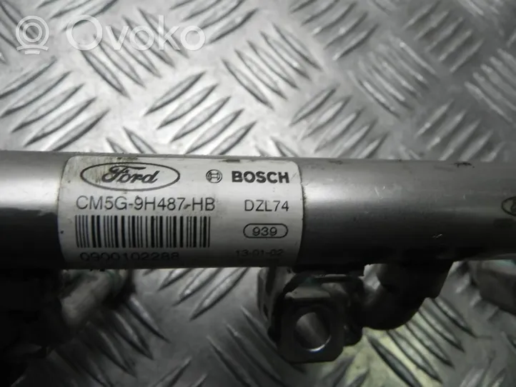 Ford Fiesta Fuel distributor CM5G9H487HB