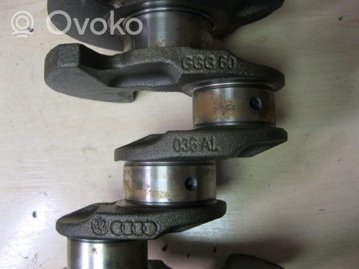 Volkswagen Golf VI Crankshaft 