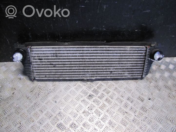 Mercedes-Benz Vito Viano W639 Radiateur de refroidissement A6395011301