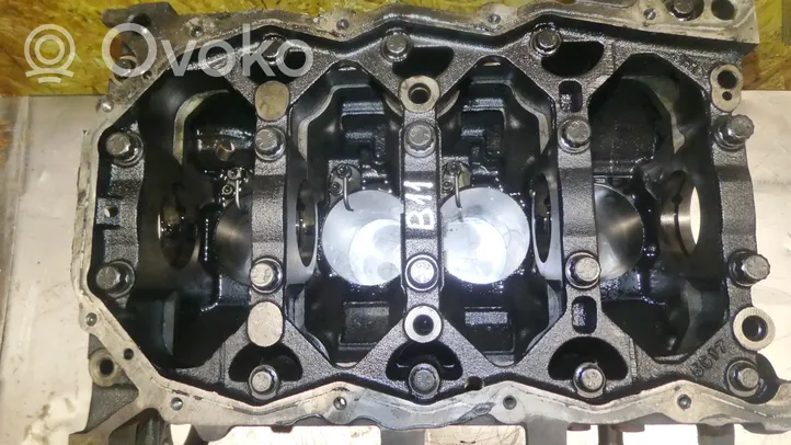 Hyundai Santa Fe Engine block D4EA