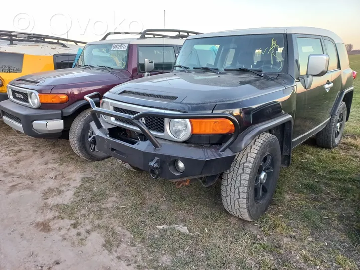 Toyota FJ cruiser Rivestimento della console di illuminazione installata sul rivestimento del tetto 