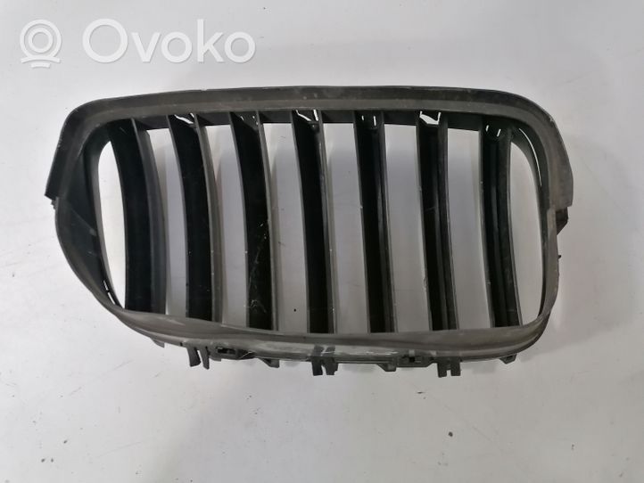 BMW X6 E71 Griglia superiore del radiatore paraurti anteriore 7171395