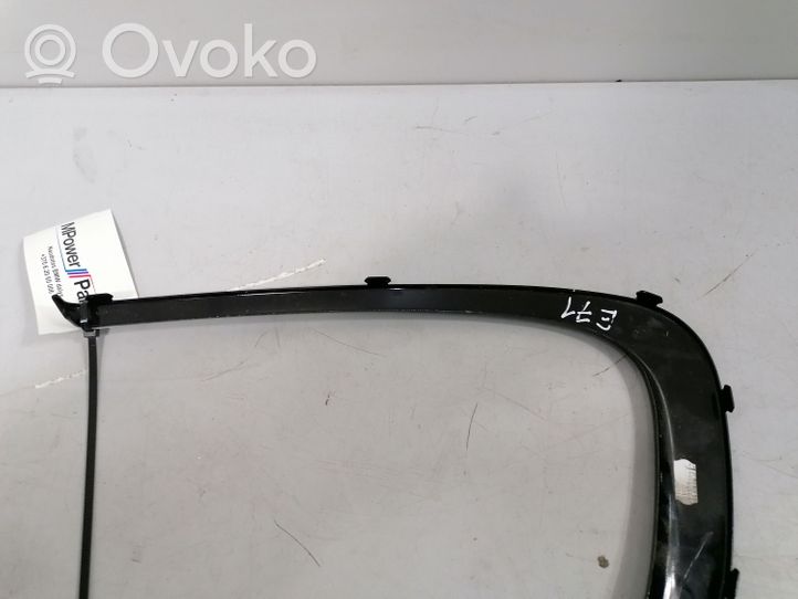 BMW X6 E71 Rivestimento modanatura del vetro della portiera posteriore 1234567