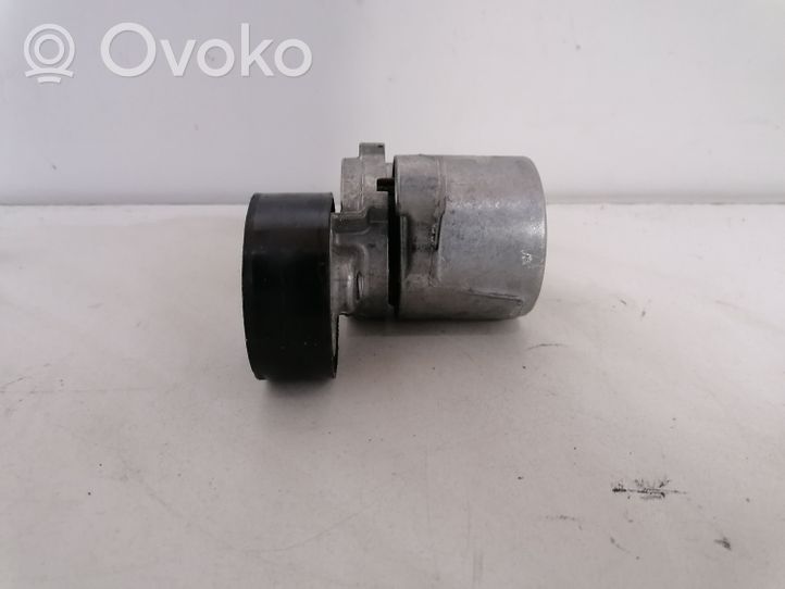 BMW 4 F32 F33 Napinacz paska wielorowkowego / Alternatora 7619248