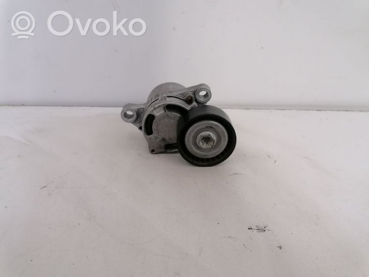 BMW 4 F32 F33 Napinacz paska wielorowkowego / Alternatora 7619248