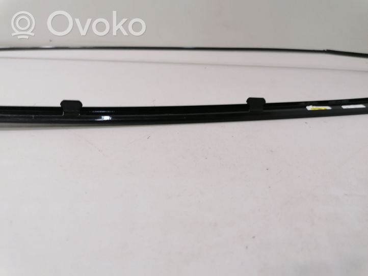 BMW 4 F32 F33 Guarnizione in gomma finestrino/vetro portiera anteriore 1234567