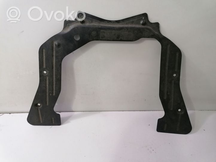 BMW X6 E71 Variklio dugno apsauga 7205621