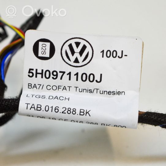 Volkswagen Golf VIII Cablaggio per freni 5H0971100J
