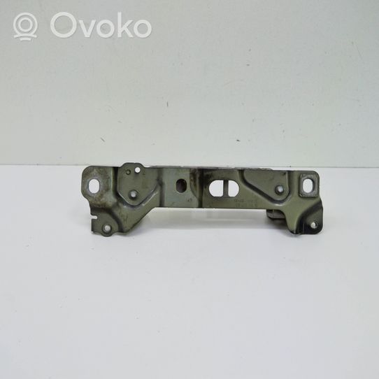 BMW 5 F10 F11 Cerniere del vano motore/cofano 7191327