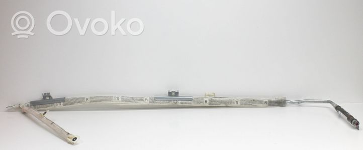Skoda Octavia Mk2 (1Z) Kattoturvatyyny 1Z9880742C