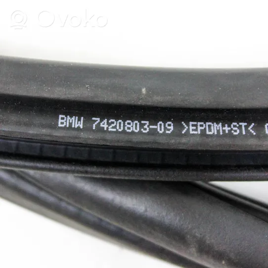 BMW X2 F39 Rubber seal front door (on door) 7420803