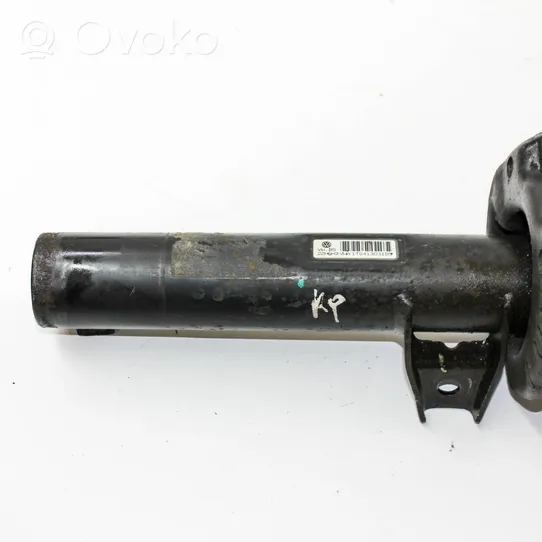 Volkswagen Eos Front shock absorber/damper 1T0413031DS