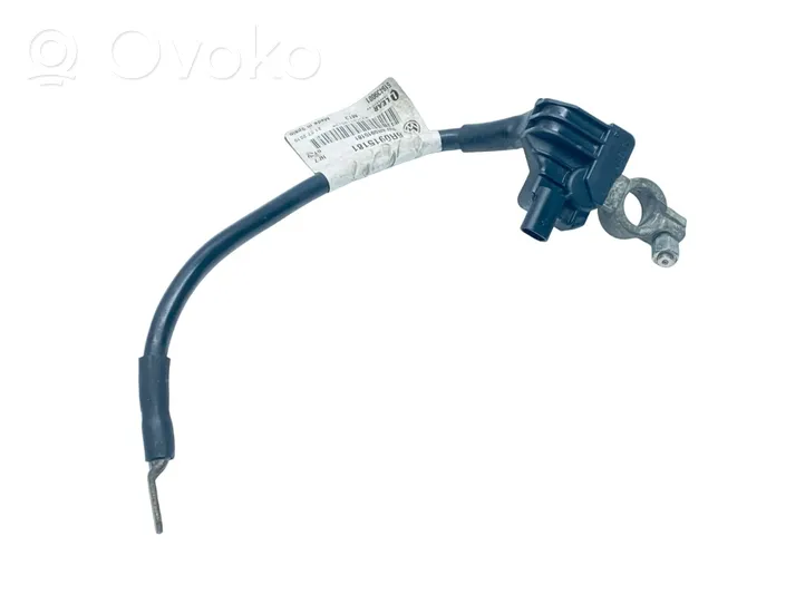 Seat Ibiza IV (6J,6P) Negative earth cable (battery) 6R0915181