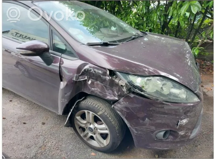 Ford Fiesta Stikla tīrītāja slotiņas 1686784