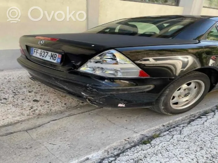 Mercedes-Benz SLK AMG R170 Galinė spyruoklė 2023243004