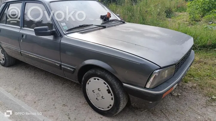 Peugeot 505 Portiera posteriore 