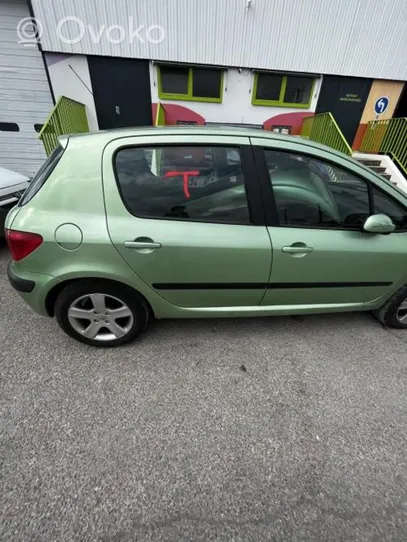 Peugeot 307 Wahacz przedni 1643188580