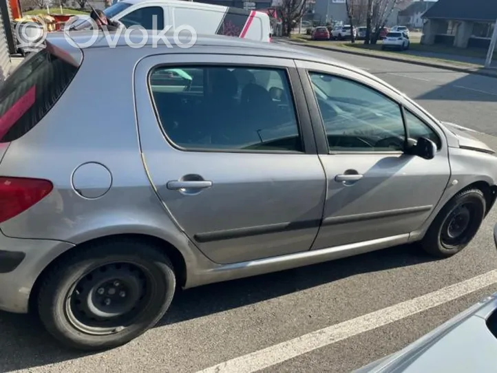 Peugeot 307 Joint en caoutchouc de corps de porte avant 9023KE