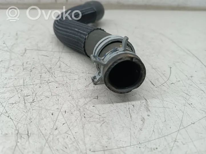 Citroen Berlingo Durite de refroidissement tube 