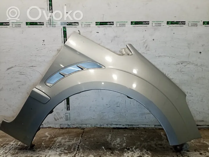 Ford S-MAX Fender 