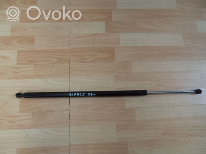 Renault Clio IV Tailgate strut 904510001R